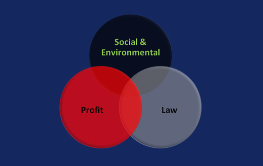 cause_marketplace_shareholder_theory_ethics_greenwashing